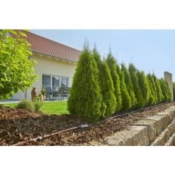 GARDENA Kit D'arrosage Goutte-à-goutte Pour Rangées De Plantes M (13011-20). 9 GARDENA Kit D'arrosage Goutte-à-goutte Pour Rangées De Plantes M (13011-20). -GARDENA Soldes 2022 33511583 4