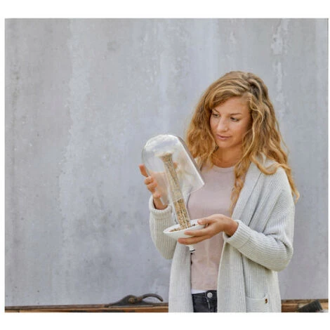 Pack ClickUp GARDENA Support Pour Balcon - Mangeoire à Oiseaux - Blanc 6 Pack ClickUp GARDENA Support Pour Balcon - Mangeoire à Oiseaux - Blanc – Image 4