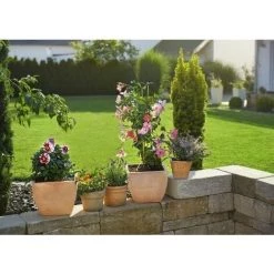Gardena Kit D'arrosage Goutte-à-goutte Pour Plantes En Pots S - GARDENA 13000-32 6 Gardena Kit D'arrosage Goutte-à-goutte Pour Plantes En Pots S - GARDENA 13000-32 -GARDENA Soldes 2022 9833075 2